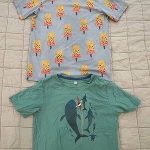Tea Collection Popsicle and Shark Tees - Gray and Green